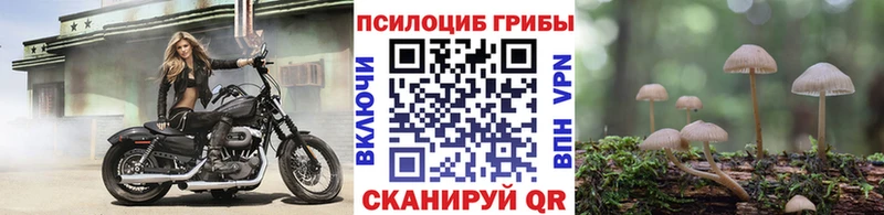 Галлюциногенные грибы Psilocybine cubensis  Купить закладки  Луховицы 